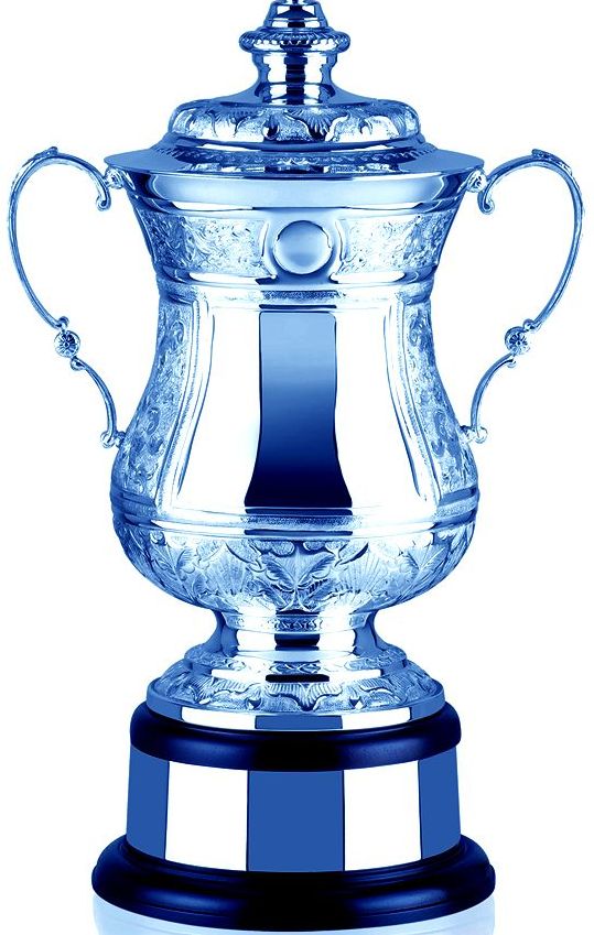 Bluebird world cup trophy