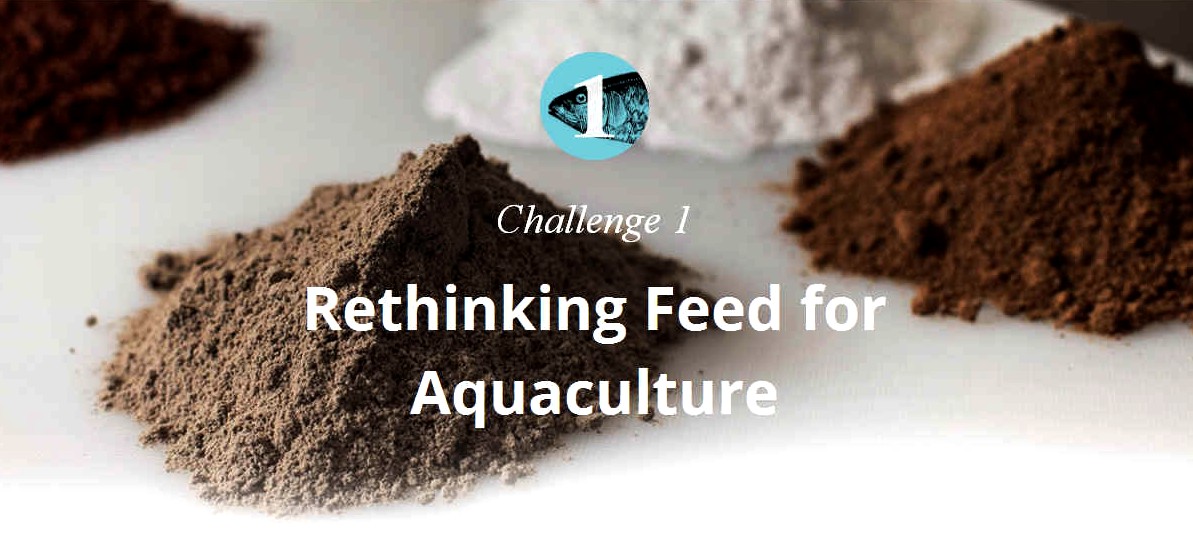 Aquaculture challenge 1 rethinking feed