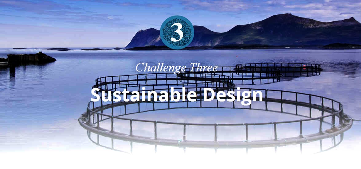 Blue economy challenge 3 sustainable design