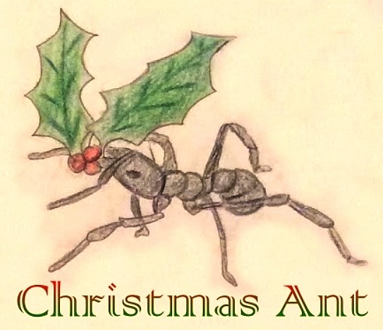 Christmas ant project