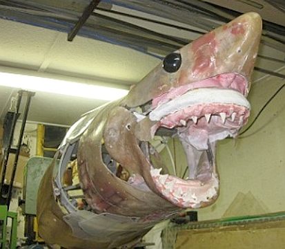 Bare frame of a mechanical shark model