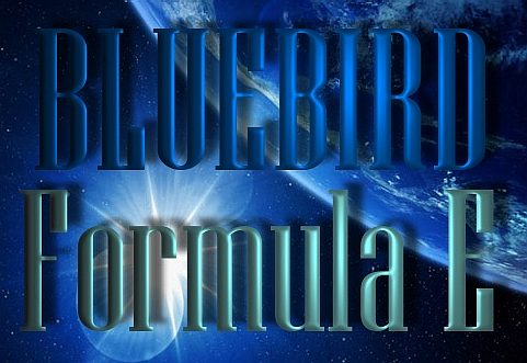 Bluebird contact us page link