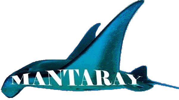 Manta ray trademark boat logo