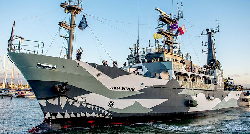 Sea Shepherd Says This Year It Won't Send Ships To Disrupt Japanese Whalers