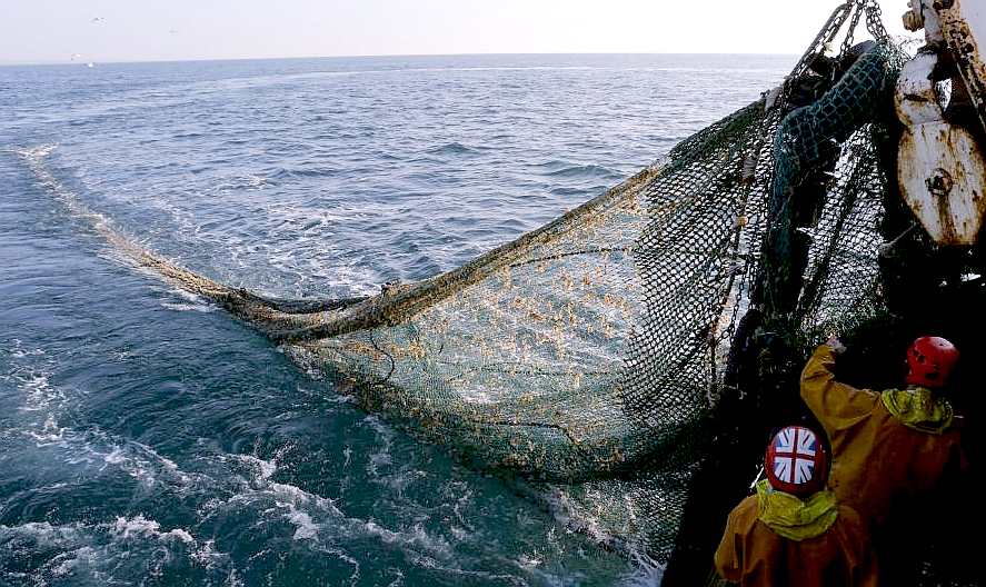 Giant fishing nets are damaging the ocean floor and depleting fish stocks
