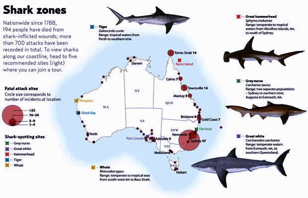 Maui Shark Attack Map