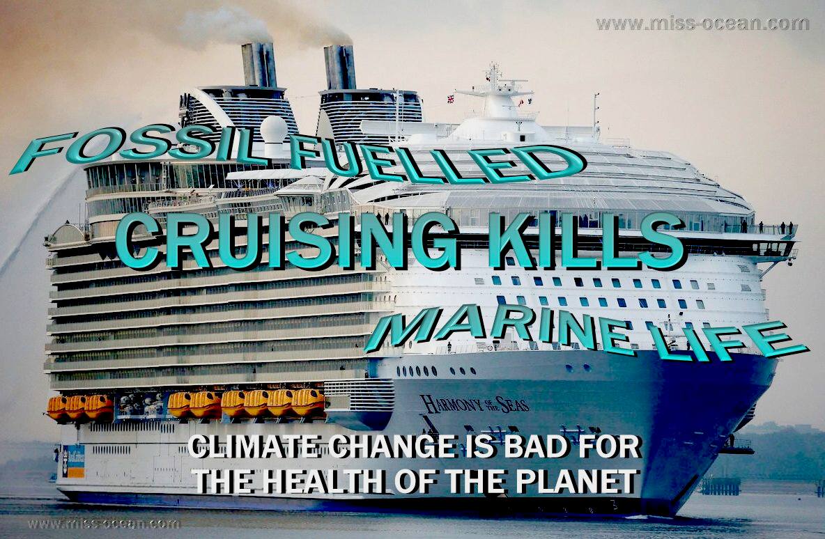 There should be government health warning for passengers of large cruise liners